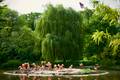 Flamingo-Insel