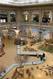 Museum Koenig Atrium