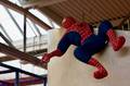 Spiderman hängt hier tot überm Zaun