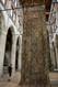 Wurzelkunst in der grossen Kirche